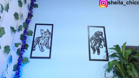 Snapshot of sheila_bigcok chatting on 02/26/25, 02:25 SHEILA  online show from 02/26/25, 02:25