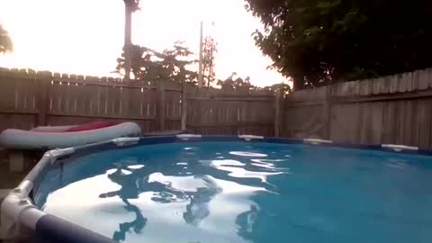 Red online show from 09/19/25, 11:16