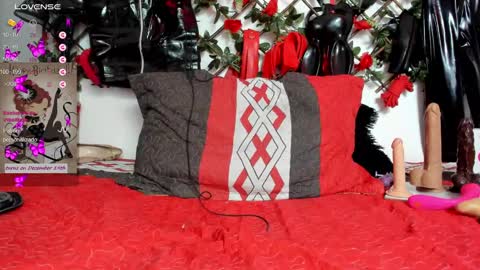 Snapshot of shengyi_blue chatting on 12/17/24, 01:38 anyela7773 online show from 12/17/24, 01:38