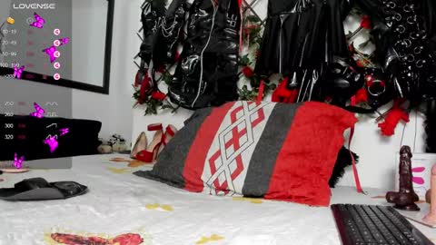 Snapshot of shengyi_blue chatting on 12/29/24, 09:17 anyela7773 online show from 12/29/24, 09:17