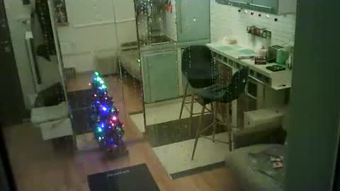 shirogane2004 online show from 01/10/26, 07:37