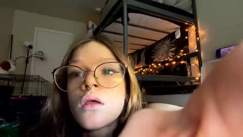 shivvedcl1tt online show from 04/17/26, 08:12