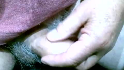 shootertog online show from 10/13/25, 10:48