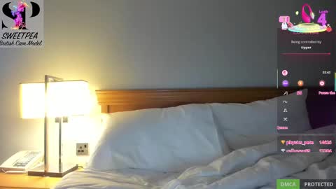 short sweetpea online show from 03/01/25, 09:18