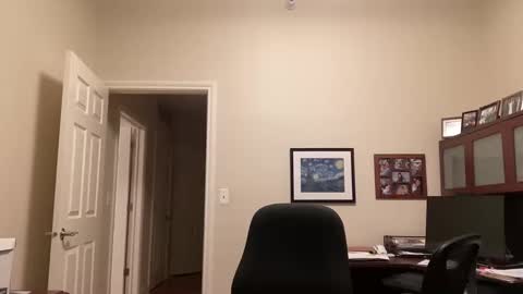 Snapshot of showmet chatting on 02/16/25, 04:31 Chicago Guy online show from 02/16/25, 04:31