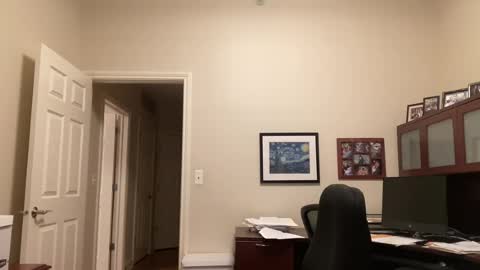 Snapshot of showmet chatting on 07/18/26, 03:33 Chicago Guy online show from 07/18/26, 03:33
