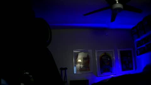 shrewtamer online show from 12/14/24, 08:13