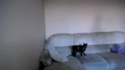 Snapshot of shy_sabrina_ chatting on 04/26/26, 03:53 shy_sabrina_ online show from 04/26/26, 03:53
