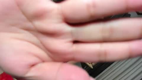 Belle online show from 03/12/25, 07:59