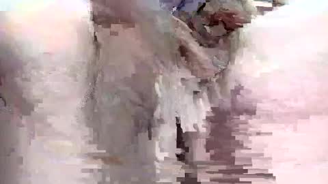 sigmaelixer online show from 09/29/25, 09:08