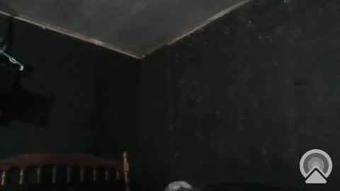 Cdub625 online show from 12/29/24, 04:40