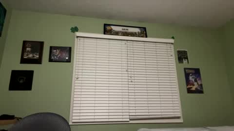 Snapshot of silentc0ck chatting on 01/31/25, 04:25 silentcock online show from 01/31/25, 04:25