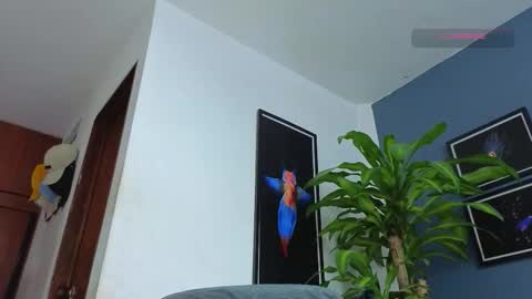 silvabranko online show from 12/18/25, 12:17