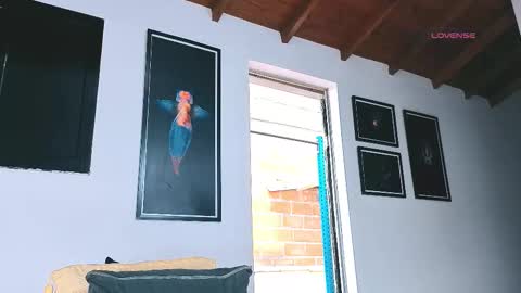 silvabranko online show from 03/06/26, 09:11