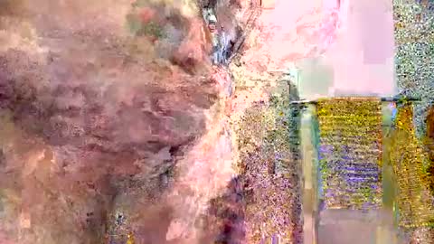 silversurfer1974 online show from 01/16/25, 11:04