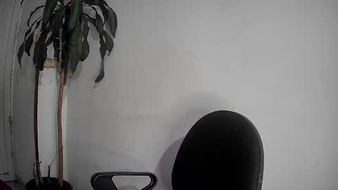 Silvie online show from 12/02/24, 12:52