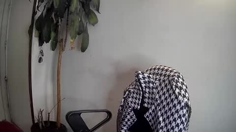 Silvie online show from 01/07/25, 03:46