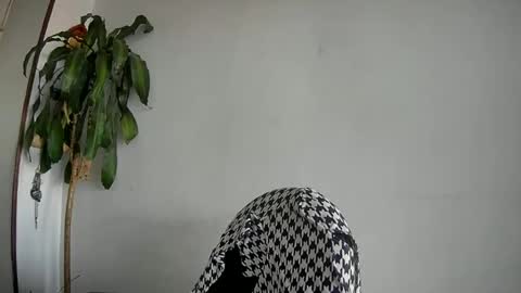 Silvie online show from 01/27/25, 10:27