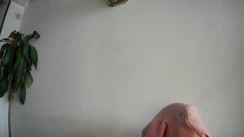 Silvie online show from 02/15/25, 07:50