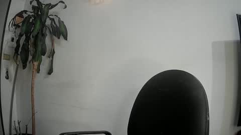 Silvie online show from 03/11/25, 11:26