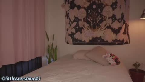 Little Sunshine online show from 12/09/24, 09:16