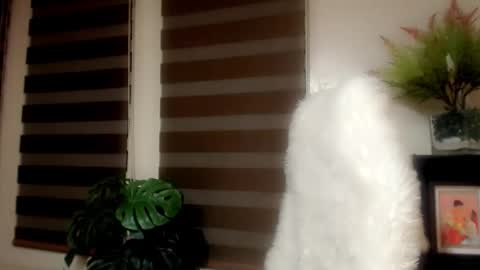     online show from 01/06/26, 09:24
