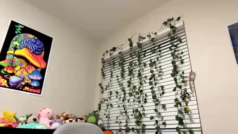 Sincerelyneon online show from 01/10/25, 01:21