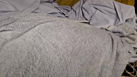 Snapshot of sinseason chatting on 12/03/24, 09:22 Sinseason online show from 12/03/24, 09:22