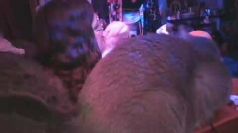 Siofra online show from 03/06/25, 09:25