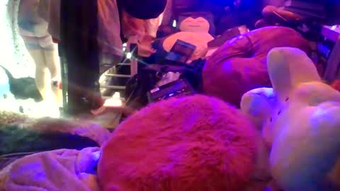 Siofra online show from 03/16/26, 05:39