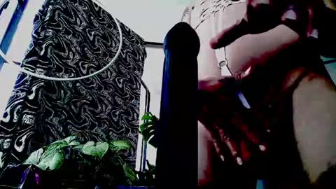 siren ika666 online show from 05/04/26, 05:53