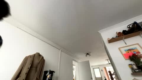 siriss_boyrag online show from 02/14/26, 02:14