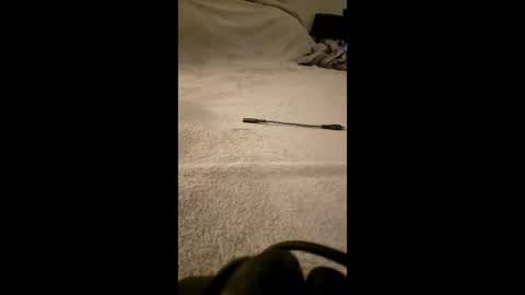 Snapshot of sissy4bigdaddies chatting on 03/04/26, 05:08 sissy4bigdaddies online show from 03/04/26, 05:08