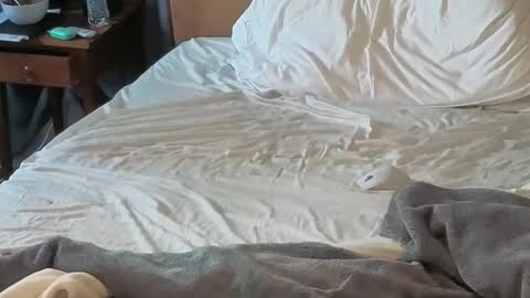 Sissy Submissive online show from 04/18/26, 12:03