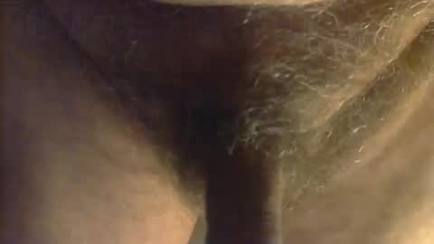 sjim368 online show from 10/31/25, 12:28