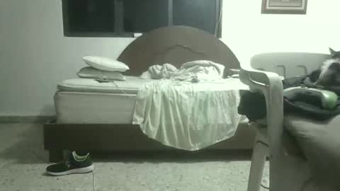 skanky_little_dolls online show from 11/27/25, 08:05