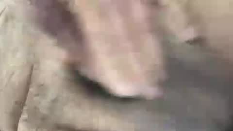 skima48 online show from 02/14/26, 08:00