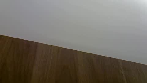 skinnykittencam online show from 09/09/25, 07:19