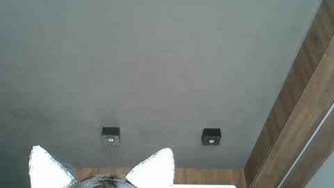 skinnykittencam online show from 10/07/25, 04:59