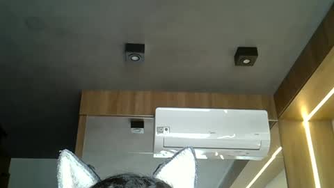 skinnykittencam online show from 11/05/25, 03:56