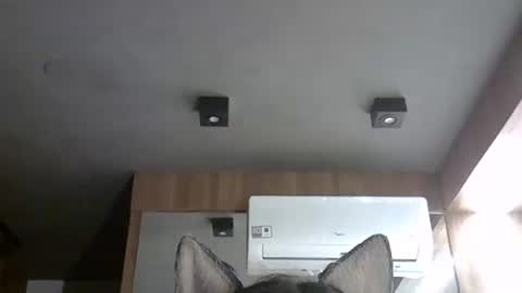 skinnykittencam online show from 11/12/25, 07:42