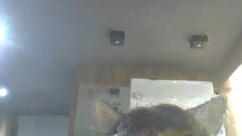 skinnykittencam online show from 01/13/26, 03:01