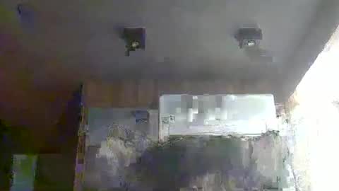 skinnykittencam online show from 01/17/26, 03:44