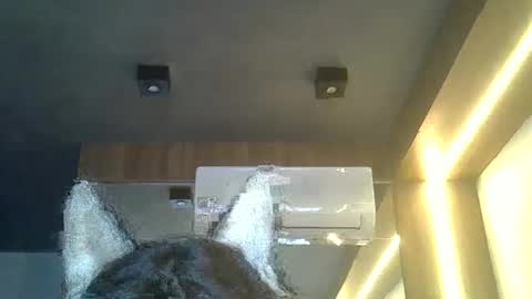 skinnykittencam online show from 02/08/26, 08:23
