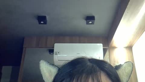 skinnykittencam online show from 04/17/26, 02:14