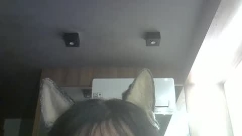 Snapshot of skinnykittencam chatting on 04/19/26, 06:54 skinnykittencam online show from 04/19/26, 06:54