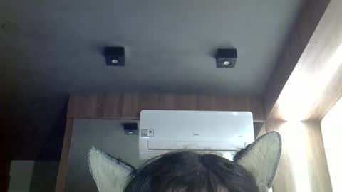 Snapshot of skinnykittencam chatting on 05/03/26, 03:07 skinnykittencam online show from 05/03/26, 03:07