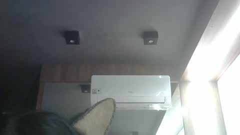 Snapshot of skinnykittencam chatting on 05/04/26, 03:13 skinnykittencam online show from 05/04/26, 03:13