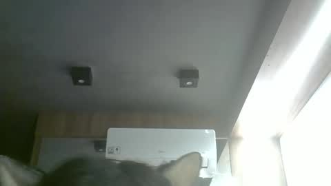 Snapshot of skinnykittencam chatting on 05/17/26, 11:17 skinnykittencam online show from 05/17/26, 11:17