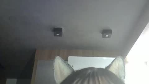 Snapshot of skinnykittencam chatting on 05/18/26, 01:02 skinnykittencam online show from 05/18/26, 01:02